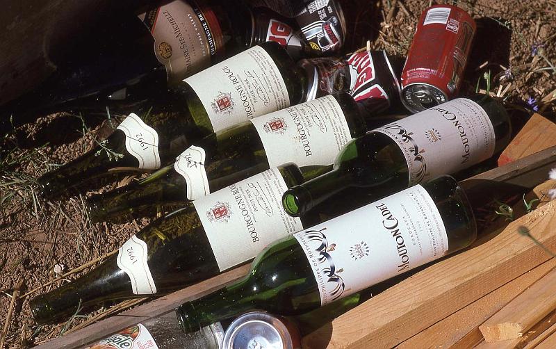 1995-07 White Salmon Jeanne and Steves Cabin 05 Aftermath.jpg